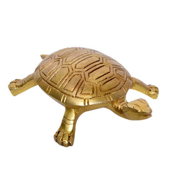 TORTOISE C5.5x4x0.75 In