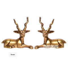 Brass Deer Pair with Big Horns in Gift Box - 3.5 X 3.5 Inch