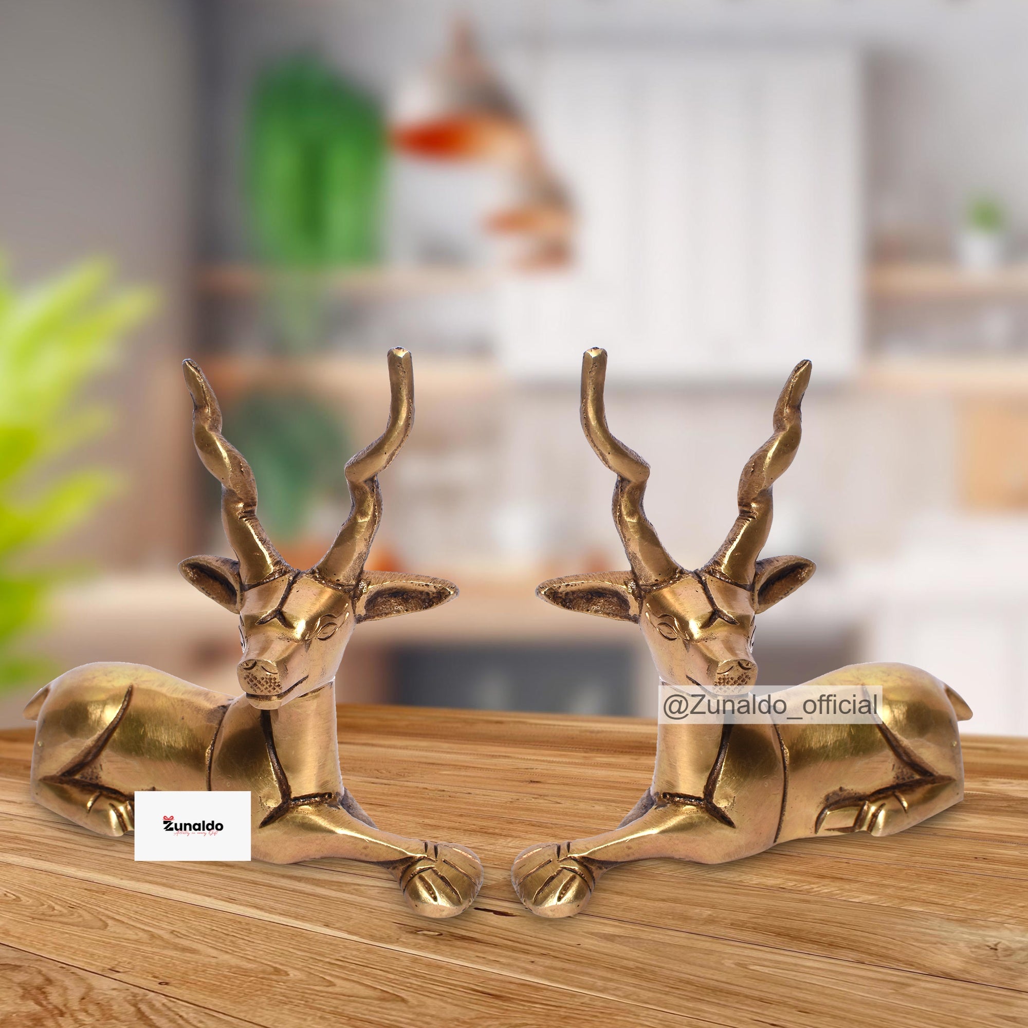 Brass Deer Pair with Big Horns in Gift Box - 3.5 X 3.5 Inch