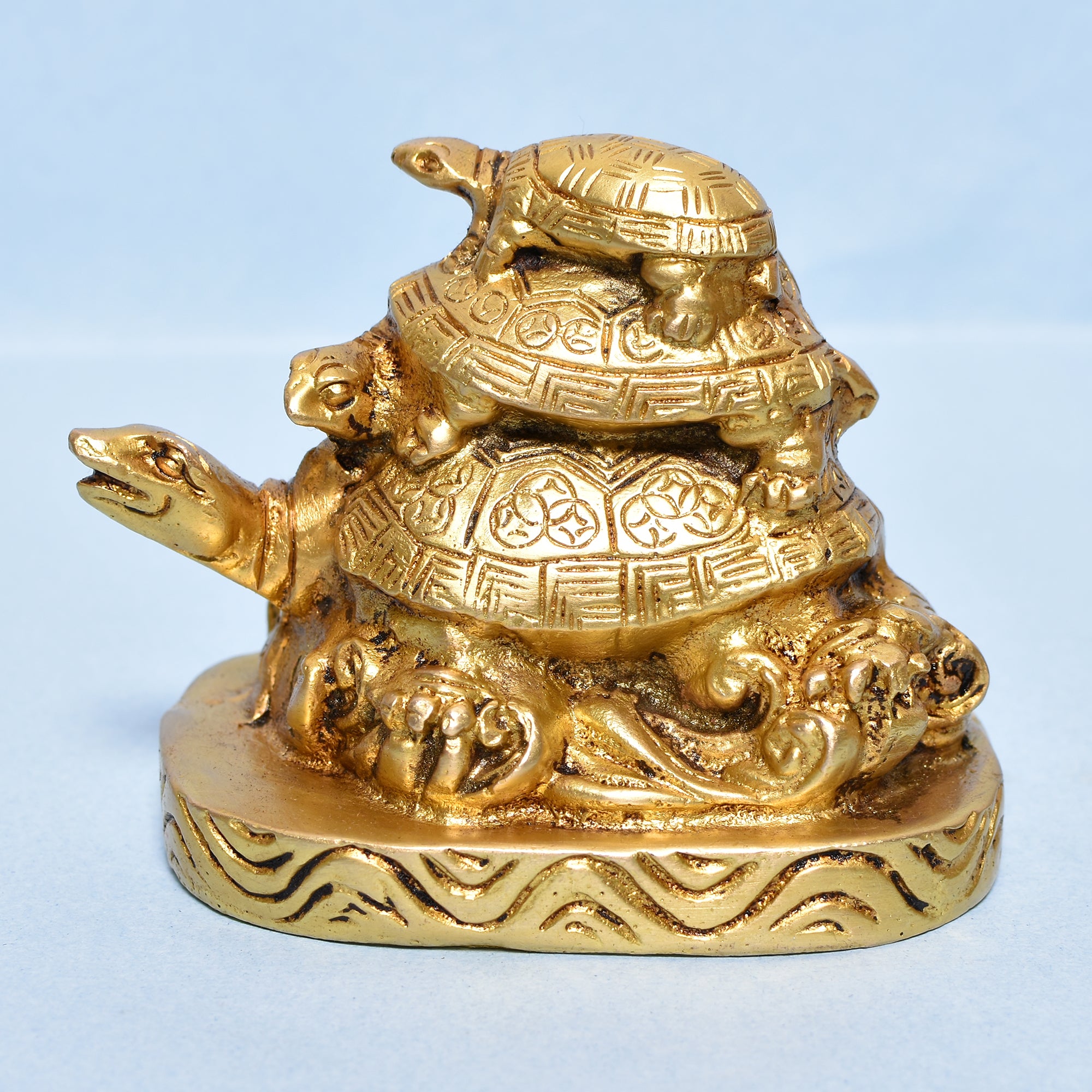 TORTOISE FAMILY PAPER WEIGHT 5"