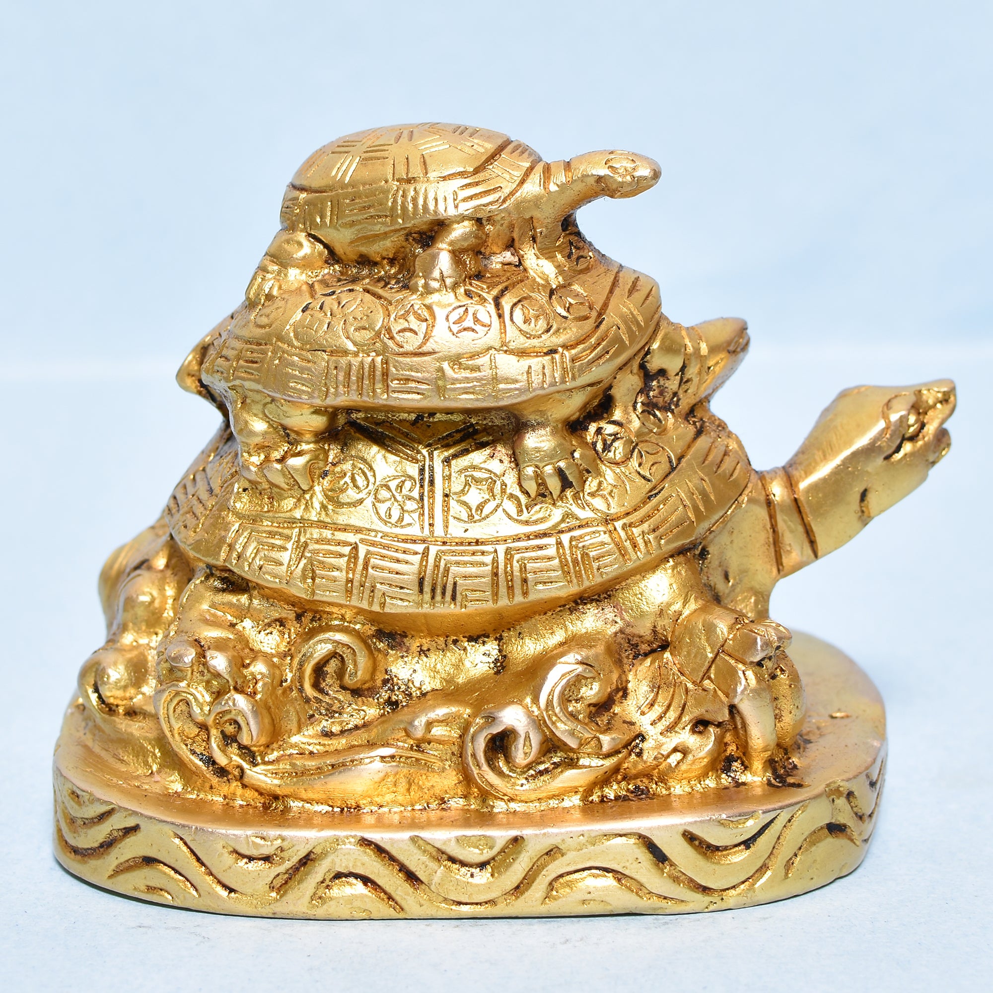 TORTOISE FAMILY PAPER WEIGHT 5"