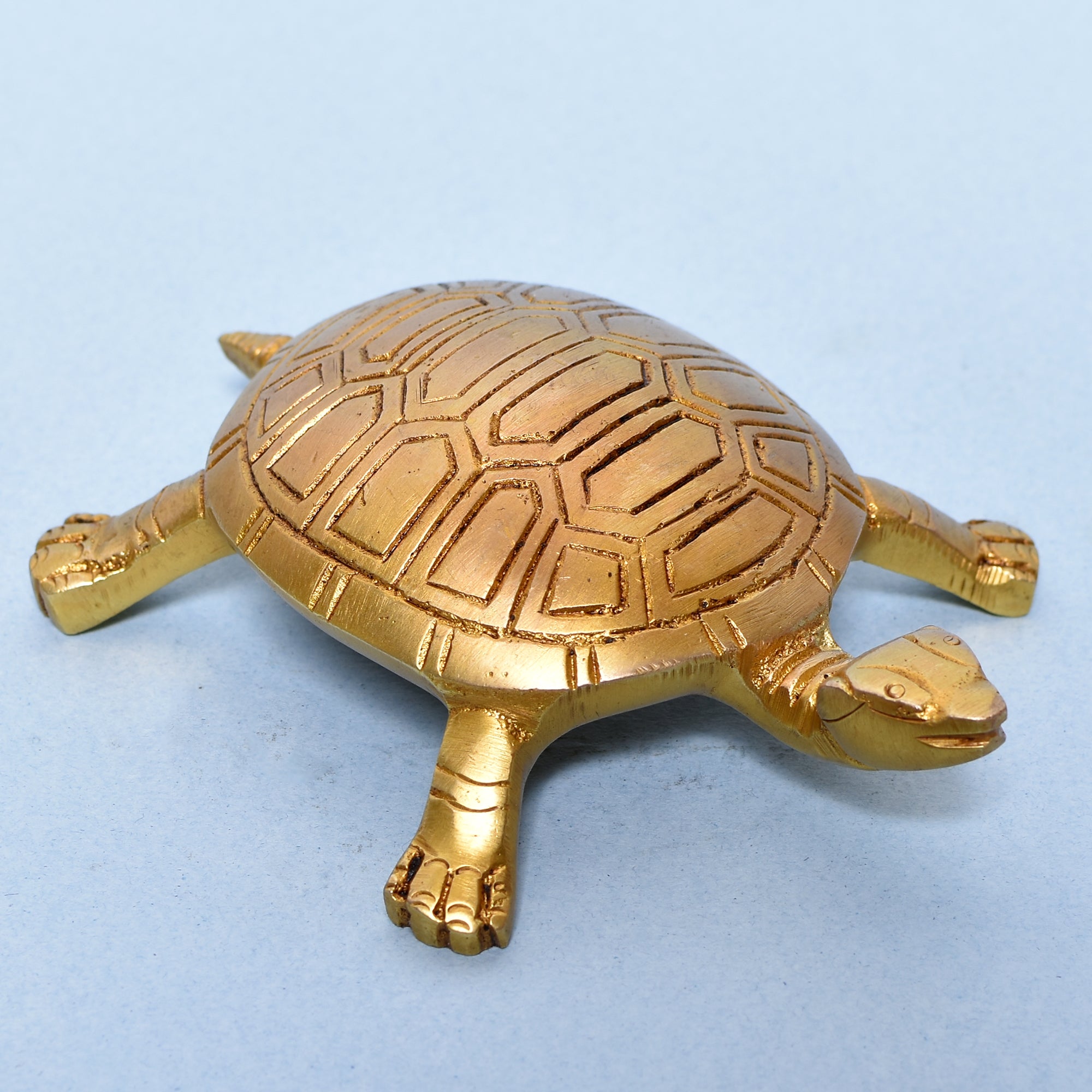 TORTOISE C5.5x4x0.75 In