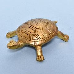 TORTOISE C5.5x4x0.75 In