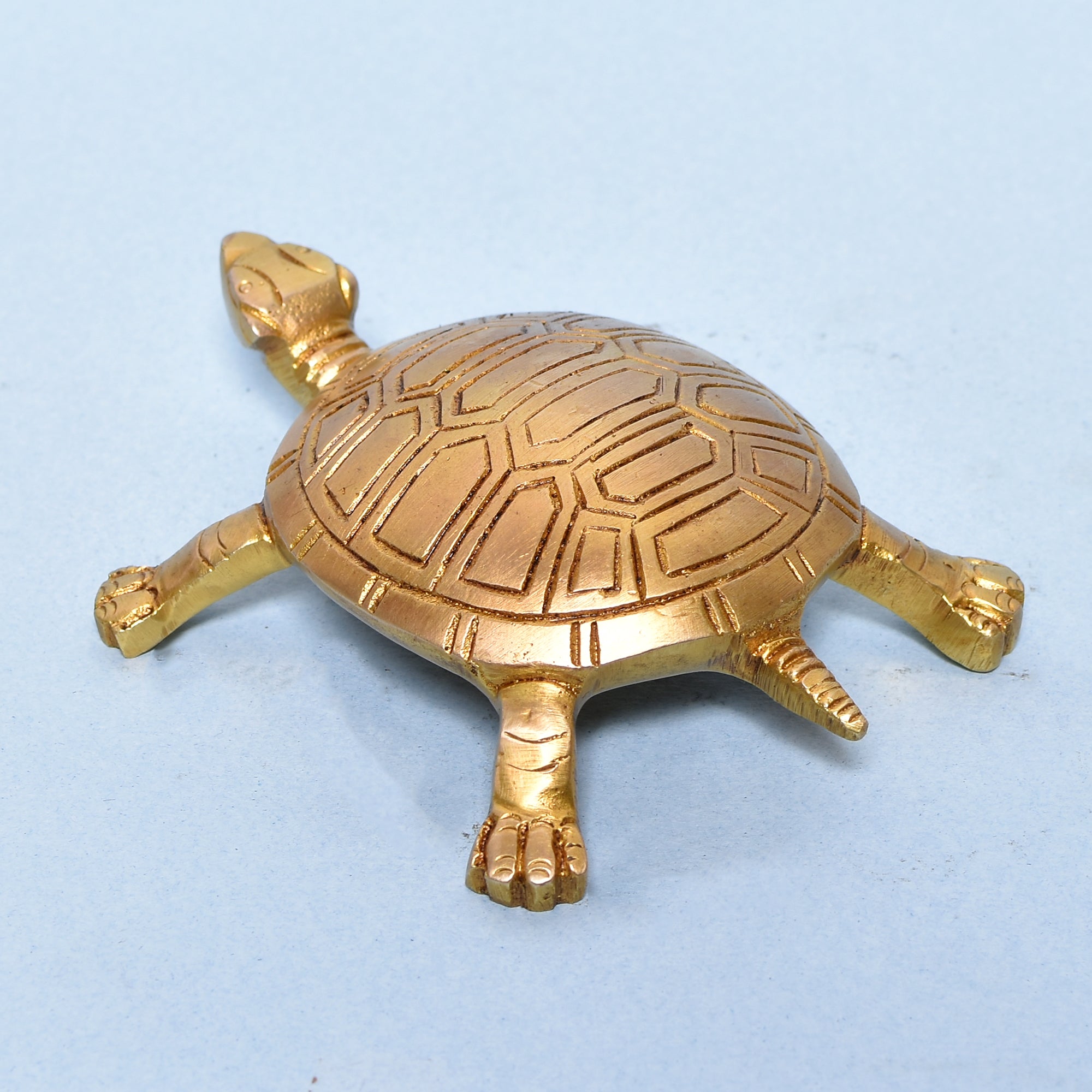 TORTOISE C5.5x4x0.75 In