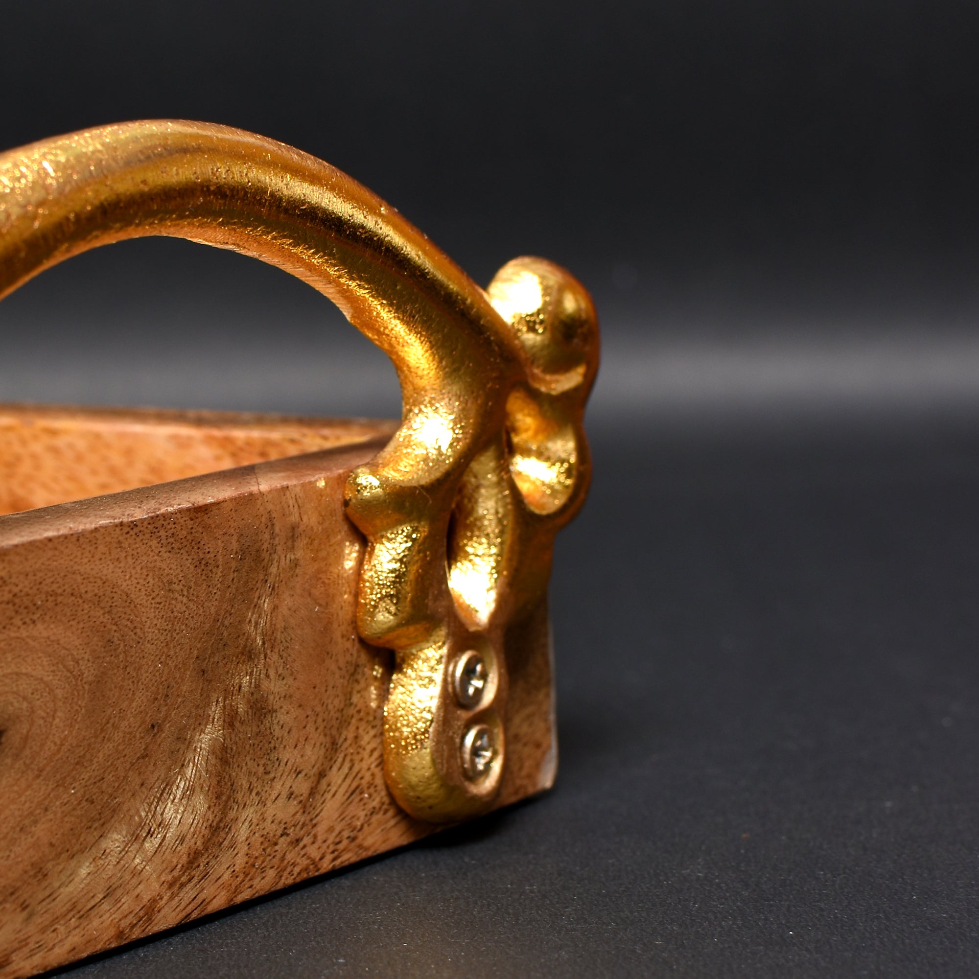 Wooden Enamle Tray with Handle